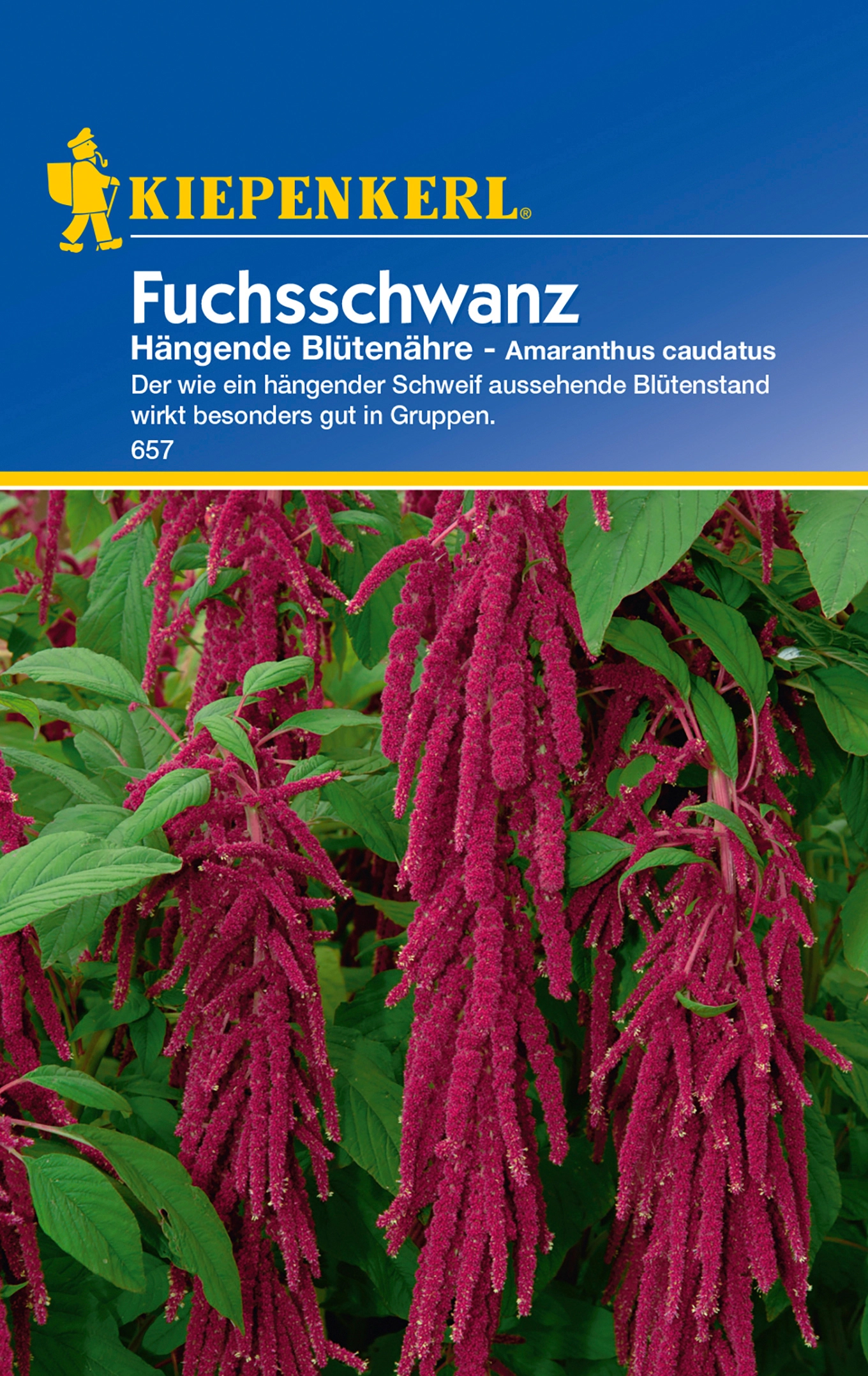 Fuchsschwanz kaufen bei OBI